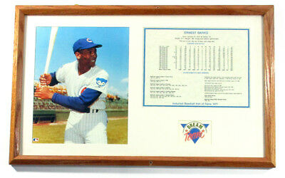 Ernie Banks Dream Team 21x30 Framed Display Photos Stats Awards Hof Df024567